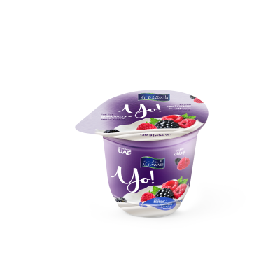 Berry Fruit Yoghurt 130g